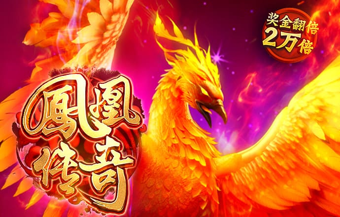 赛酷体育官网app